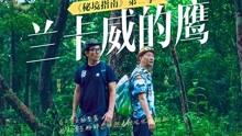 午时的猎人无敌版