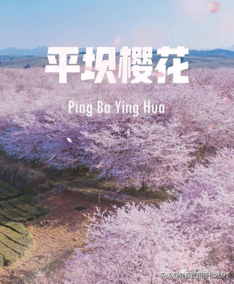 度假的时尚女孩