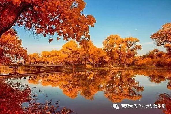 跟队记者辟谣：米兰未对穆基勒进行体检