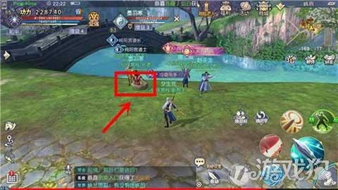 完美的收藏品