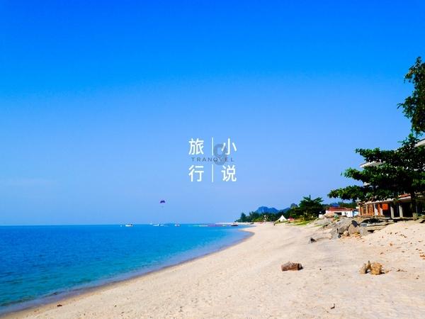 御龙在天